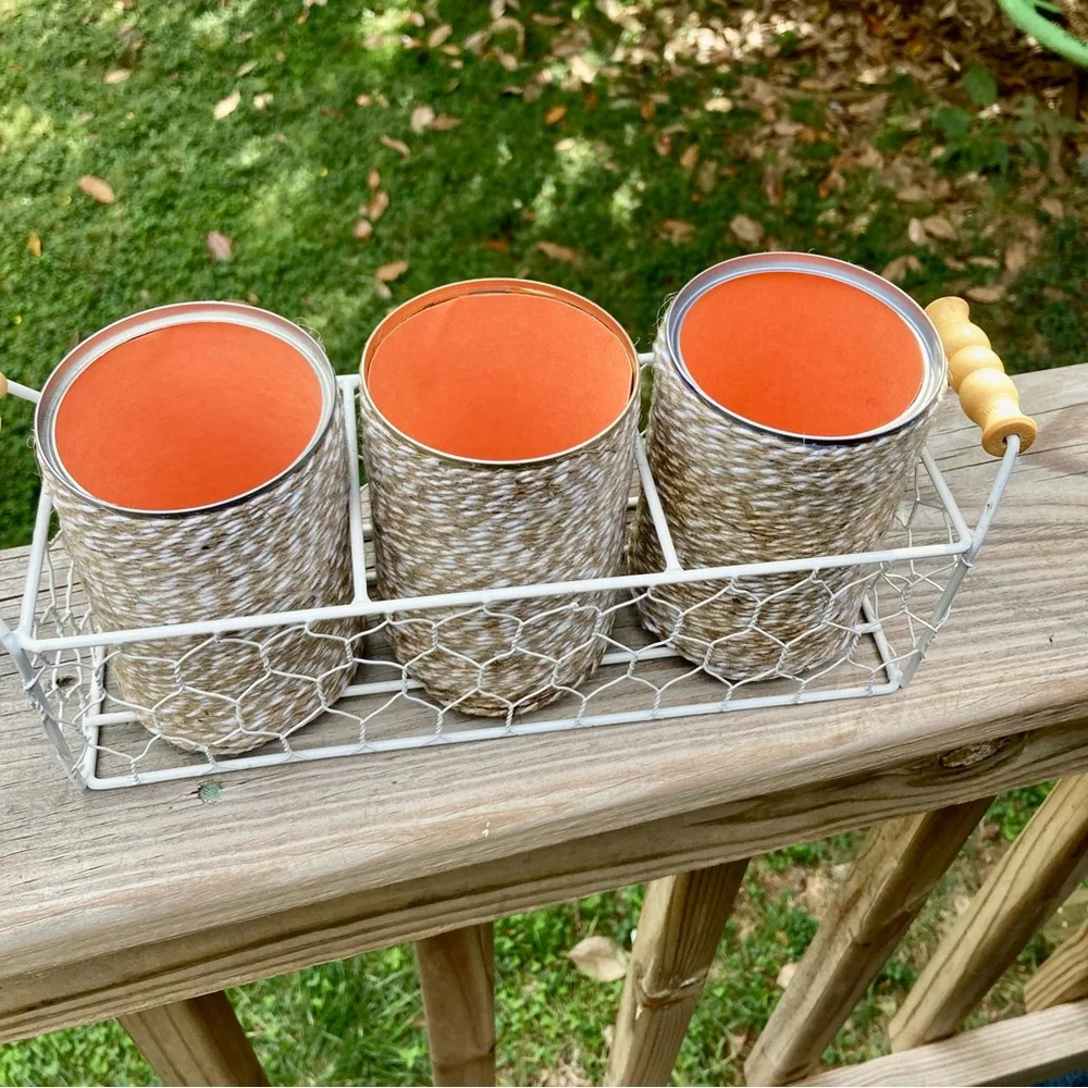Farmhouse Shabby Chic Chicken Wire Basket Caddy Server 3 Twine Wrapped Cans